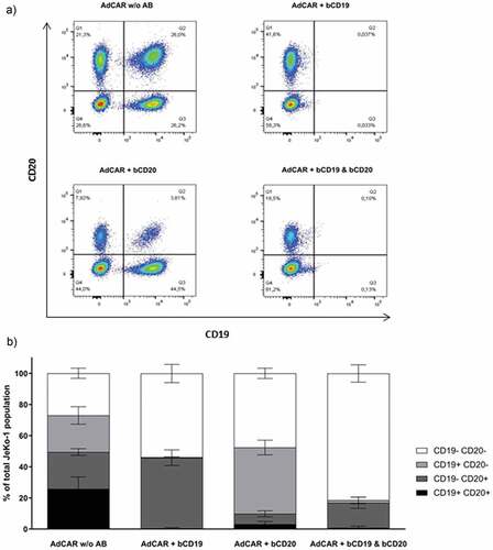 Figure 4. JeKo-1 cell line target antigen-loss model. JeKo-1 CD19 and/or CD20 knock-out (KO) cell lines were mixed at an equal 1:1:1:1 ratio and co-incubated with AdCAR NK-92 cells at an E:T ration of 5:1 in the presence and/or absence of indicated bAb for 24 h and analyzed using flow cytometry (a). Ratio of KO variants after cytotoxicity assay is shown as a mean of three independent experiments (b).