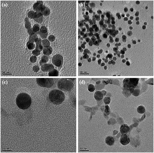 Figure 2. TEM image of gold nanoparticles at 10 nm (a), at 20 nm (b), silver nanoparticles at 10 nm (c), at 20 nm (d).