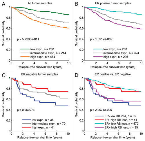 Figure 3 Relapse-free survival in subpopulations defined by RB-loss signature expression. Survival curves are shown for low, intermediate and high RB-loss signature magnitude for (A) all tumor samples, (B) the ER-positive subset and (C) the ER-negative subset. A comparison of ER-positive and ERnegative survival curves is shown in (D), using cut offs established in the ER-negative population.