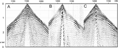 Fig. 3  Examples of raw shot gathers showing: (A) shallow ringing; (B) strong ground roll; (C) good data and high-frequency (40 Hz) event at 2 s twt (also on A).
