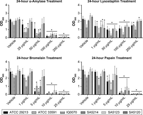 Figure 4 Degradation of Staphylococcus aureus biofilms after 24-hour treatment with dispersal agents.Notes: Biofilms were cultured for 24 hours in tryptic soy broth with 10% human plasma and then treated with α-amylase, lysostaphin, bromelain, or papain for 24 hours. The crystal violet assay was used to determine the total biomass remaining after the 24-hour treatment. Six strains of S. aureus were tested, and values represent the mean + standard deviation of four independent experiments with six technical replicates per condition. Data were analyzed with one-way ANOVA followed by Dunnett’s multiple comparisons tests. *P≤0.05 compared to the respective vehicle control group.Abbreviations: OD, optical density; ANOVA, analysis of variance.