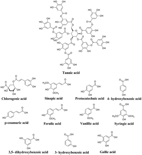 Figure 3. The molecular structures of phenolic acids used in this study.