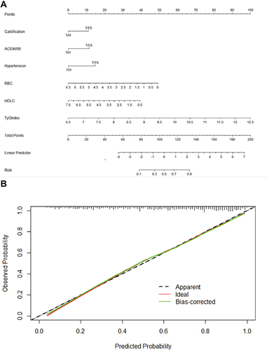 Figure 3 A nomogram was constructed to predict macrovascular complications in T2DM patients.