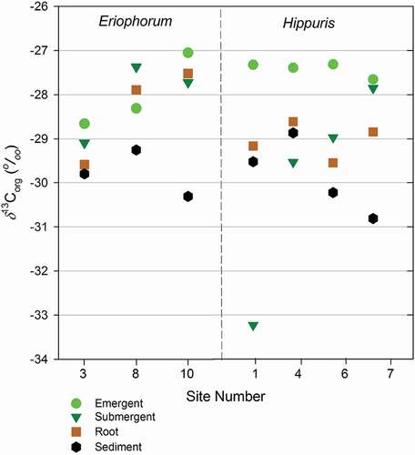 Figure 5. δ13Corg versus site number for Eriophorum- and Hippuris-dominated sites. Data are presented separately for emergent, submergent, and root portions of each plant and for surface sediments collected beneath