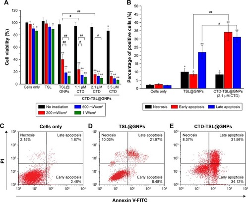 Figure 6 Photothermal effects of CTD-TSL@GNPs on A431 cells.Notes: (A) Elimination of proliferating A431 cells by CTD-TSL@GNPs encapsulating 0–3.5 μM CTD with different irradiation power densities. (B) Necrosis, early apoptosis, and late apoptosis rates of A431 cells treated with TSL@GNPs and CTD-TSL@GNPs after 200 mW//cm2 irradiation. (C–E) Flow cytometry results of untreated (C), TSL@GNP-treated (D), and CTD-TSL@GNP-treated (E) cells after 200 mW//cm2 irradiation. Statistically significant differences between samples and control (*p<0.01 and **p<0.001); Statistically significant differences between two linked samples (#p<0.01 and ##p<0.001).Abbreviations: CTD, cantharidin; CTD-TSL@GNPs, CTD-encapsulated TSLs coated with GNPs; FITC, fluorescein isothiocyanate; GNPs, gold nanoparticles; PI, propidium iodide; TSL, thermal-sensitive liposome.