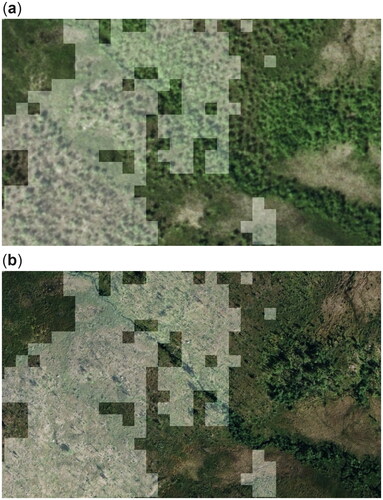 Figure 9. Forest mortality map as an overlay to aerial photographs. (a) Before the outbreak (2005). (b) After the outbreak (2015).