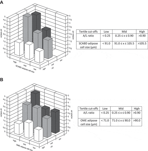 Figure 4. Combination of adiposopathy (plasma A/L ratio) and subcutaneous abdominal (panel A) or omental (panel B) adipose cell size tertiles in relation to the HOMA-IR index. Values of tertiles are shown in the corresponding tables. For abbreviations see legends to Figure 1.