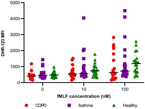 Figure 2 ROS production of unstimulated (0nM fMLF) and stimulated blood neutrophils of COPD (n=17), asthma (n=19), and healthy participants (n=19); line between dots represents the median value.