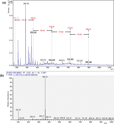 Figure 4. (a) MALDI-TOF mass spectra of tyrosine samples treated by laccase; (b) Mass spectrogram of dityrosine samples.
