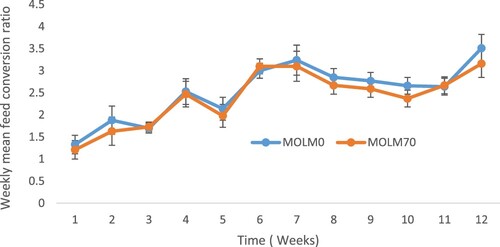 Figure 3. Mean weekly feed conversion ratio of PK hens fed diets containing MOLM from Weeks 1–12 (total of 20 hens/treatment).