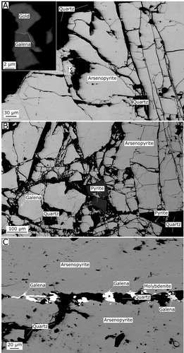 Figure 8. A, Backscattered electron image CAL8E contains arsenopyrite enclosing gold inter-grown with galena. B, This back scattered electron image shows the occurrence of galena and prismatic pyrite within a brecciated arsenopyrite. C, Galena, molybdenite and recrystallised quartz occur in fractures in an arsenopyrite grain. Note that quartz in these images appears black due to the low atomic weight compared to the sulphides and gold.