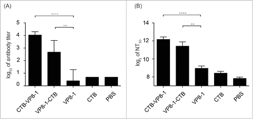 Figure 3. The immunogenicity of the recombinant proteins. Groups of mice were immunized 3 times at an interval of 14 d with 10 μg of CTB-VP8-1, VP8-1-CTB, VP8-1 or CTB in aluminum hydroxide adjuvant, and the serum samples collected on day 14 after the final immunization were tested. (A) Anti-VP8 antibody titers, which are presented on a log10 scale; (B) neutralizing antibody titers, which are presented on a log2 scale. The error bars indicate the standard error of each group (n = 7). Different numbers of stars (*) indicate significant difference between the anti-VP8 antibody titers or neutralizing antibody titers elicited by the fusion proteins and those elicited by VP8-1 (****, P < 0.0001, **, P < 0.01).