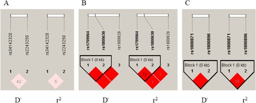 Figure 1. LD analysis of the candidate gene SNPs. The results of LD analysis for IL4 (A), TNFA (B) and IL10 (C) genes were described. The color shift from white to red represented that the results of D’ and r2 changed from 0 to 1. A deep red block means the result is 1. The closer the value is to 1, the higher degree of LD is. Kb represented the distance between two SNPs in the genome. LD was observed from the three SNPs of TNFA gene and the two SNPs of IL10 gene, respectively.