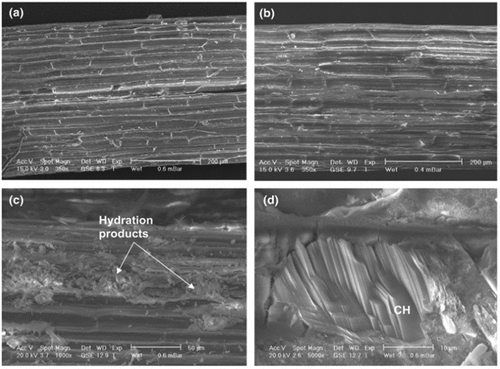 Figure 10. The effect of the wetting and drying cycles on the sisal fiber surface: (a) reference, (b) fiber extracted from a PC–MK matrix after 25 cycles, (c and d) fiber extracted from a PC matrix after 25 cycles by Filho, Silva, and Toledo Filho (Citation2013) permission Elsevier.