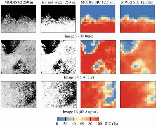 Figure 6. MODIS Band 2 reflectance, the ice-water binary map, the MODIS SIC, and the MWRI SIC of Image 9 (08 June 2018), Image 14 (14 July 2018) and Image 16 (02 August 2018).