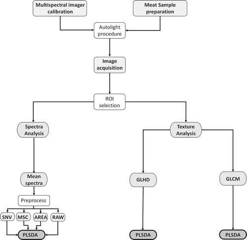 Figure 4. Process of multispectral image acquisition and data (image mean spectra, GLHD: Gray level histogram difference and GLCM: Gray level co-occurrence matrix) extraction.