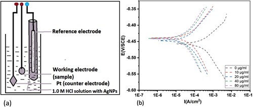 Figure 11. (a) Corrosion cell and three-electrode cell configurations, and (b) Potentiodynamic polarization curves of mild steel immersed in 1.0 M hydrochloric acid (HCl) solution in the absence and presence of inhibitor.