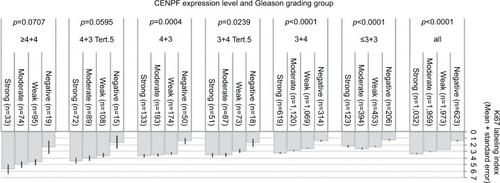 Figure 5 Ki67 labeling index is independently associated with the CENPF expression level and the Gleason grade.Abbreviation: CENPF, centromere protein F.