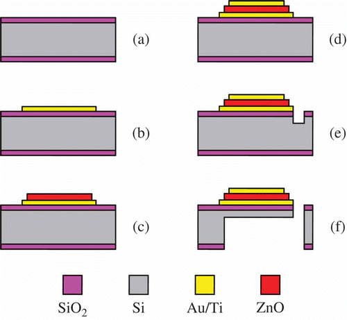 Figure 4. Fabrication process flow: (a) oxidation, (b) Au/Ti deposition, (c) ZnO deposition, (d) Au/Ti deposition, (e) front-side etching, and (f) back-side etching.