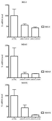 Figure 6. RIG-I, MDA5 and MAVS mRNA levels in knockdown STING-37 cells. Total RNA was extracted from cells previously transfected with siRIG-I, siMDA5 or siMAVS STING-37 cell line, and the levels of RIG-I, MDA5 and MAVS mRNA were quantified by one-step RT-qPCR. The data were normalized to the GAPDH mRNA levels and expressed as relative levels of mRNA compared with cells without siRNA transfection (siCTRL). The mean value in STING-37 cells mock-transfected with siRNA was set at 100% of gene expression.