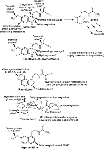 Figure 1 Chemical structures and main metabolic routes of melatonin and synthetic melatoninergic hypnotics. Flashes = sites of metabolic reactions.