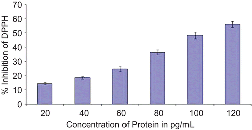 Figure 2.  Superoxide anion scavenging activity of partially purified protein.