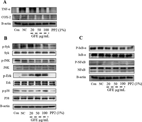 Figure 2. Debnath et al.