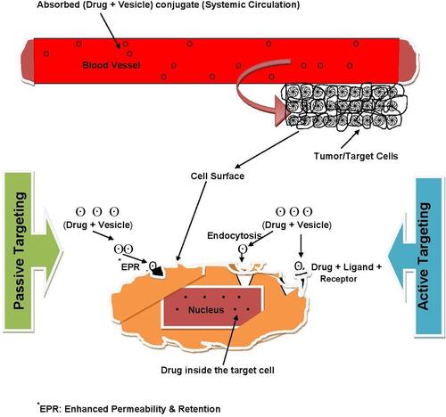 Figure 5 Active vs passive targeting.