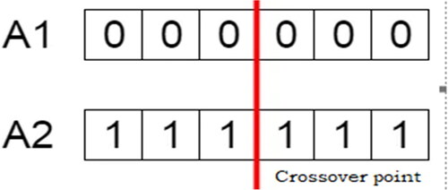 Figure 5. The crossover position within the genetic algorithm.