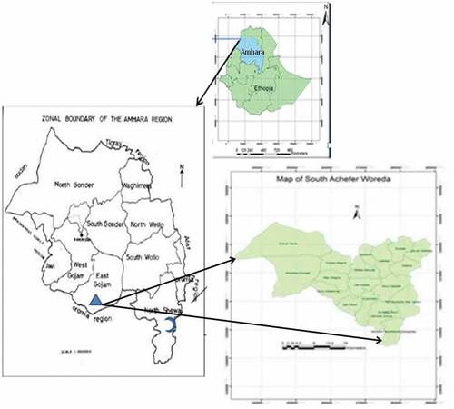 Figure 1. Map of study area: Sources: Developed by Melkamu.