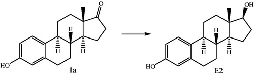 Scheme 1. Stereospecific reduction of estrone (1a) to 17β-estradiol (E2) by 17β-HSD1.