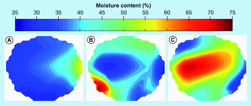 Figure 6.  Moisture distribution in round corn stover bales at 5 months storage. (A) 35.5% wet basis; (B) 41% wet basis; and (C) 51.2% wet basis. Relative moisture content is indicated by the bar over the maps and ranges from approximately 25 to 75%.