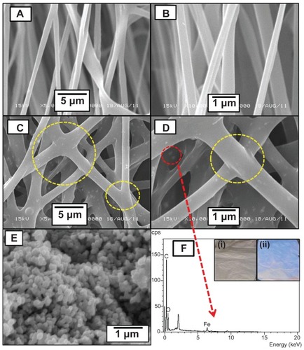 Figure 2 Scanning electron microscopic images of (A and B) pristine poly(D,L-lactide-co-glycolide), (C and D) camptothecin/iron(III) oxide-embedded poly(D,L-lactide-co-glycolide) composite ultrafine fibers, and (E) iron(III) oxide nanoparticles at different magnifications (yellow circles represent point bonding). (F) Energy dispersive X-ray spectrum of camptothecin/iron(III) oxide-embedded poly(D,L-lactide-co-glycolide) composite. The inset photographic images represent the (i) pristine and (ii) composite nano-fibrous mats under ultraviolet fluorescence (λmax 256 nm).