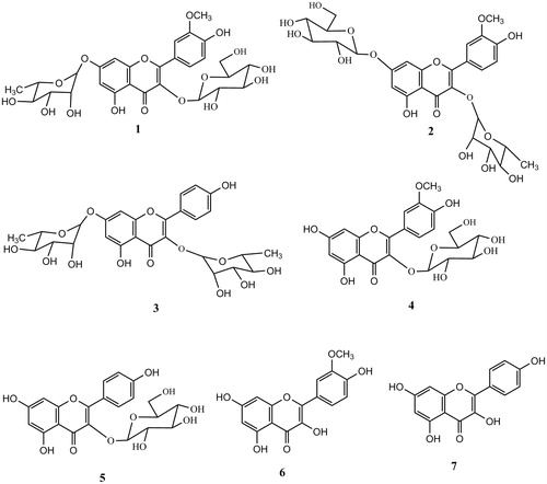 Figure 1. Chemical structures of the isolated flavonoid compounds from D. glabra.