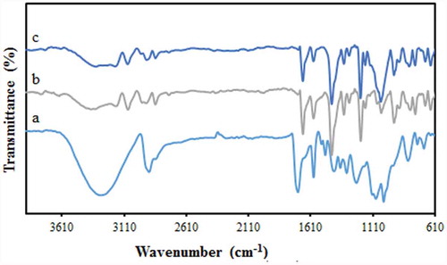 Figure 1. FTIR spectra of the PVA hybrid membrane (a) pure PVA (b) PVA/GLA/10 wt % NNSA membrane and (c) PVA/GLA/40 wt % NNSA/5 wt % SiO2 membrane.