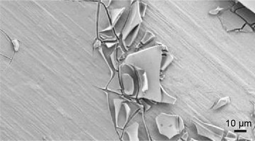 Figure 3 Field emission scanning electron micrograph of a punctual scratch on a cover layer.