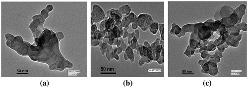 Figure 8. TEM micrograph of (a) SrLa2O4:Eu3+ (b) CaLa2O4:Eu3+ (c) MgLa2O4:Eu3+.