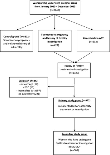 Figure 1. Flowchart of patients in the study cohort.