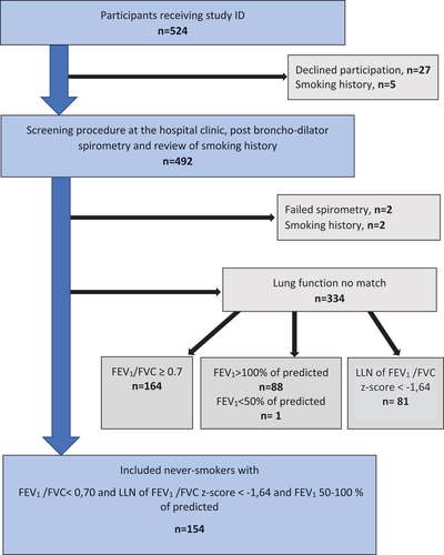 Figure 2. Flowchart of inclusion of never-smokers with chronic obstructive pulmonary disease (COPD), at the University hospital clinics.