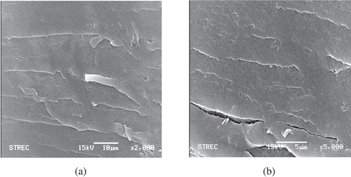 Figure 2. Scanning electron micrograph of surface of COS produced with enzyme Pectinex® hydrolysis at 2000× and 5000× (A and B)
