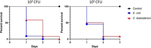 Figure 6. Survival percentages of embryos inoculated with C. testosteroni and E. coli. Groups of 12 embryonated eggs were infected with 102 and 105 C. testosteroni and E. coli. The control group was inoculated with saline solution.