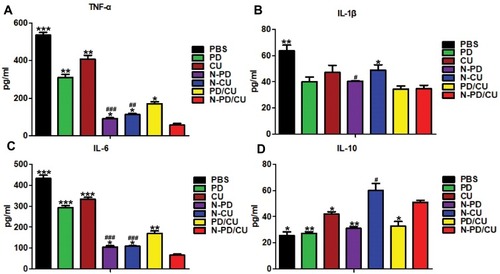 Figure 4 Expression of pro-inflammatory cytokines and anti-inflammatory cytokine in cell-free supernatant of activated macrophage treated with different preparations. Levels of (A) TNF- α, (B) IL-1β, (C) IL-6 and (D) IL-10 were assayed. Data shown are mean ± SD (n=3). *p<0.05, **p<0.001, ***p<0.0001 vs cells treated with N-PD/CU, #p<0.05, ##p<0.001, ###p<0.0001 vs cells treated with PBS.
