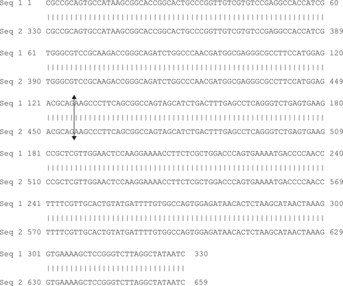 Figure S1 Alignment of Ph+ ALL patient e1a2 nucleotide sequence (Seq 1) with BCR-ABL1 e1a2 reference sequence from GenBank AF113911.1 (Seq 2).