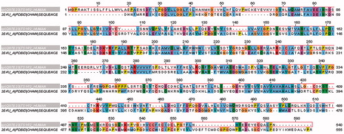 Figure 2. Sequence alignment of VFT domain of T1R2 with extracellular region of glutamate receptor (pdb code: 2E4U). Same color of residues shows the same properties. (Colors in this figure are referred to the web version of this article.)