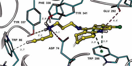 Figure 2. Top-scored binding mode of 23 (yellow) in hAChE (PDB ID: 4M0E) determined by IFD and QM/MM (DFT M06-2X/CC-PVTZ(-F)++/OPLS_2005) in Schrodinger 2021–4. The interaction distances (yellow – hydrogen bonds, green – π–π interactions, ping – salt bridge) are given in Å.
