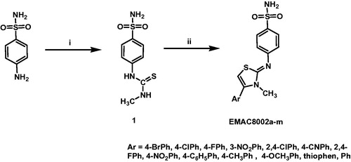 Scheme 1. Synthetic pathway to compounds EMAC8002a–m. Reagents and conditions: (i) ethanol, methylisothiocyanate; (ii) ethanol, α-halogenoarylketone.