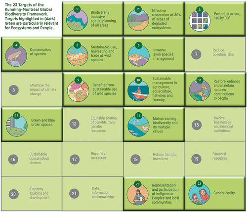 Figure 1. The 23 targets of the Kunming-Montreal Global Biodiversity Framework. Highlighted targets are particularly relevant for the scope of Ecosystems and People. Figure design: Francisca Carcamo (https://www.panchulei.com).