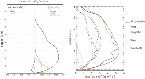 Fig. 22 A Comparison of deep, congestus (mid), and shallow convection massflux profiles for Single Column Model simulations (left) and radar observations (right) during the TWP-ICE field experiment. Observations are from Kumar et al. (Citation2015) showing mass flux profiles derived from windprofilers (black) and CPOL data (red).