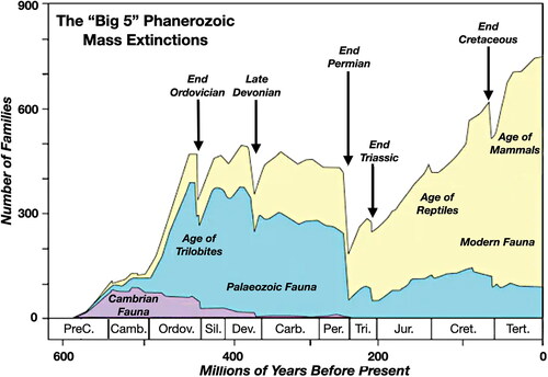 Figure 2. Five major mass extinctions of the Phanerozoic Era (modified from Metcalfe & Isozaki, Citation2009). Published with permission from Elsevier.
