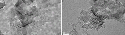 Figure 1. TEM image of nanocrystalline MgO [Citation31].